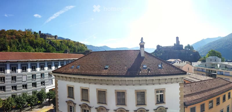 Cercasi subentrante - 2.5 locali a Bellinzona (4)