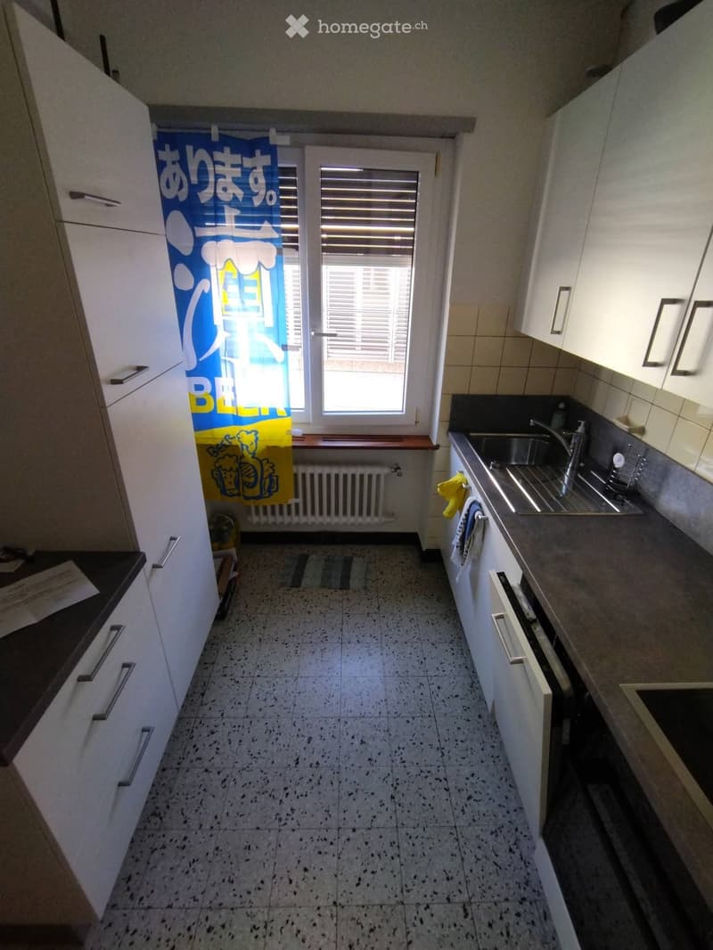 Cercasi subentrante - 2.5 locali a Bellinzona (2)