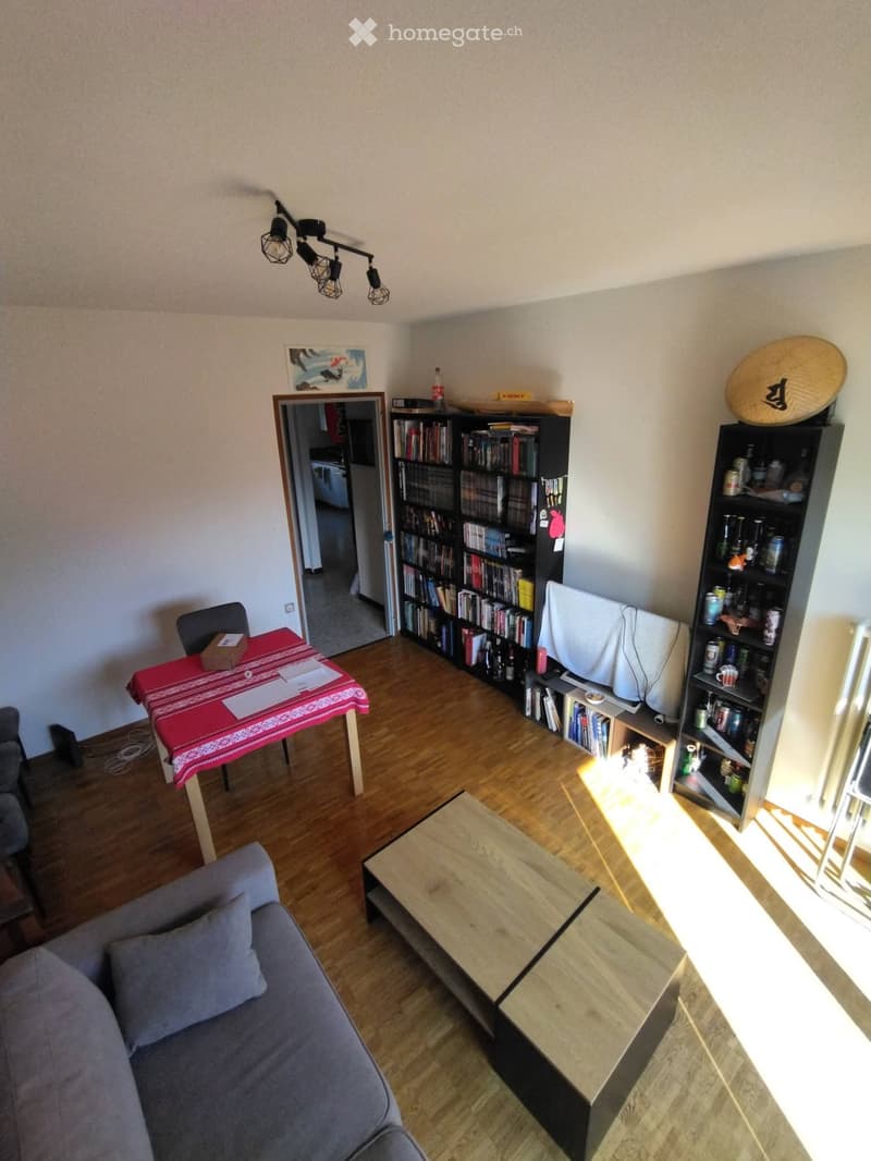 Cercasi subentrante - 2.5 locali a Bellinzona (1)