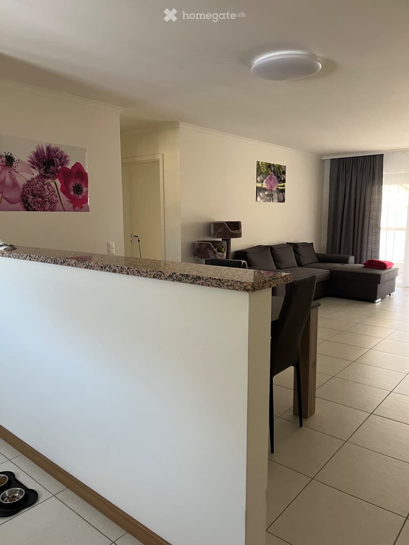 Appartamento 3.5 locali (2)