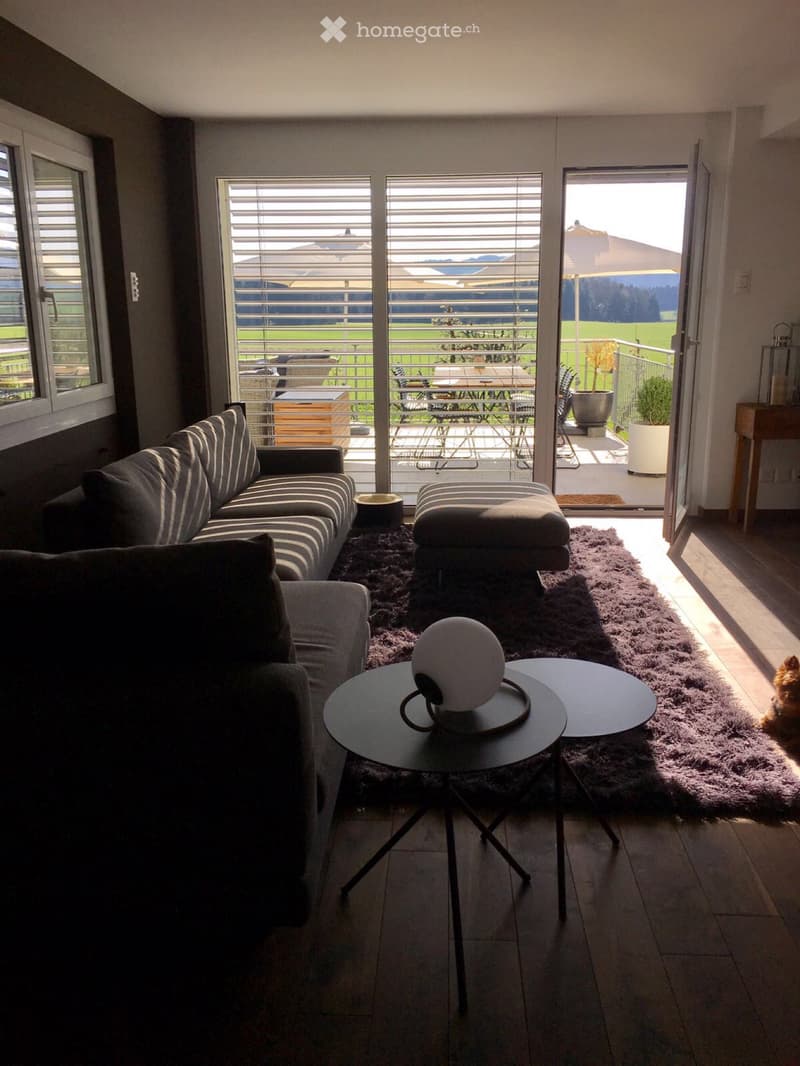 Modernes Einfamilienhaus mit grosser Terrasse per 1.11.2026 (4)