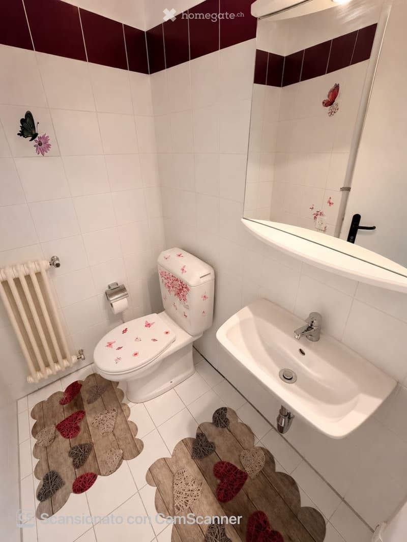 MASSAGNO - VIA POVRÒ - chf 2000 TUTTO INCLUSO (8)