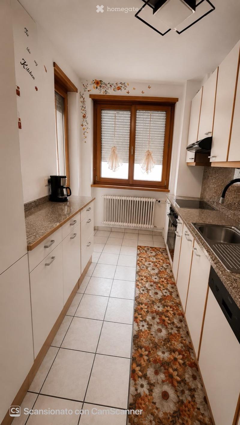 MASSAGNO - VIA POVRÒ - chf 2000 TUTTO INCLUSO (2)