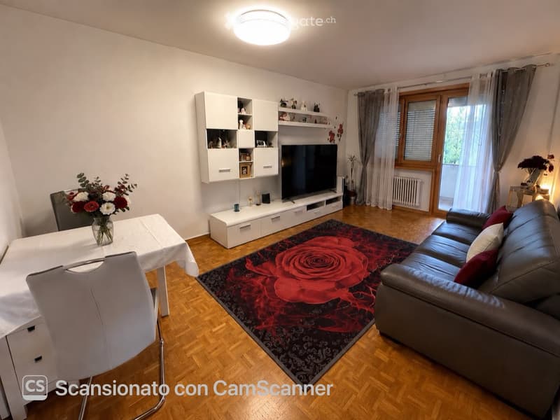 MASSAGNO - VIA POVRÒ - chf 2000 TUTTO INCLUSO (3)