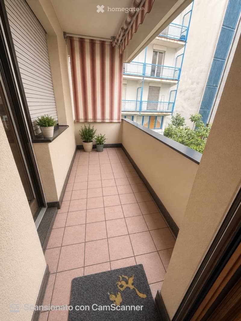 MASSAGNO - VIA POVRÒ - chf 2000 TUTTO INCLUSO (11)