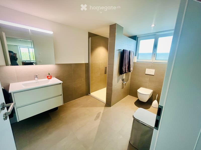 2.5 Zimmer Wohnung (1.5 Zi-Studio mit zus. Zimmer) (2)