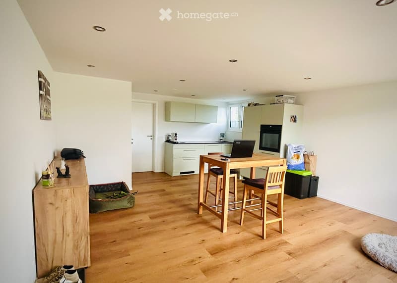 2.5 Zimmer Wohnung (1.5 Zi-Studio mit zus. Zimmer) (1)
