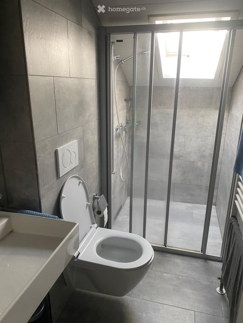 Bellinzona - 3.5 locali mansardato (5)