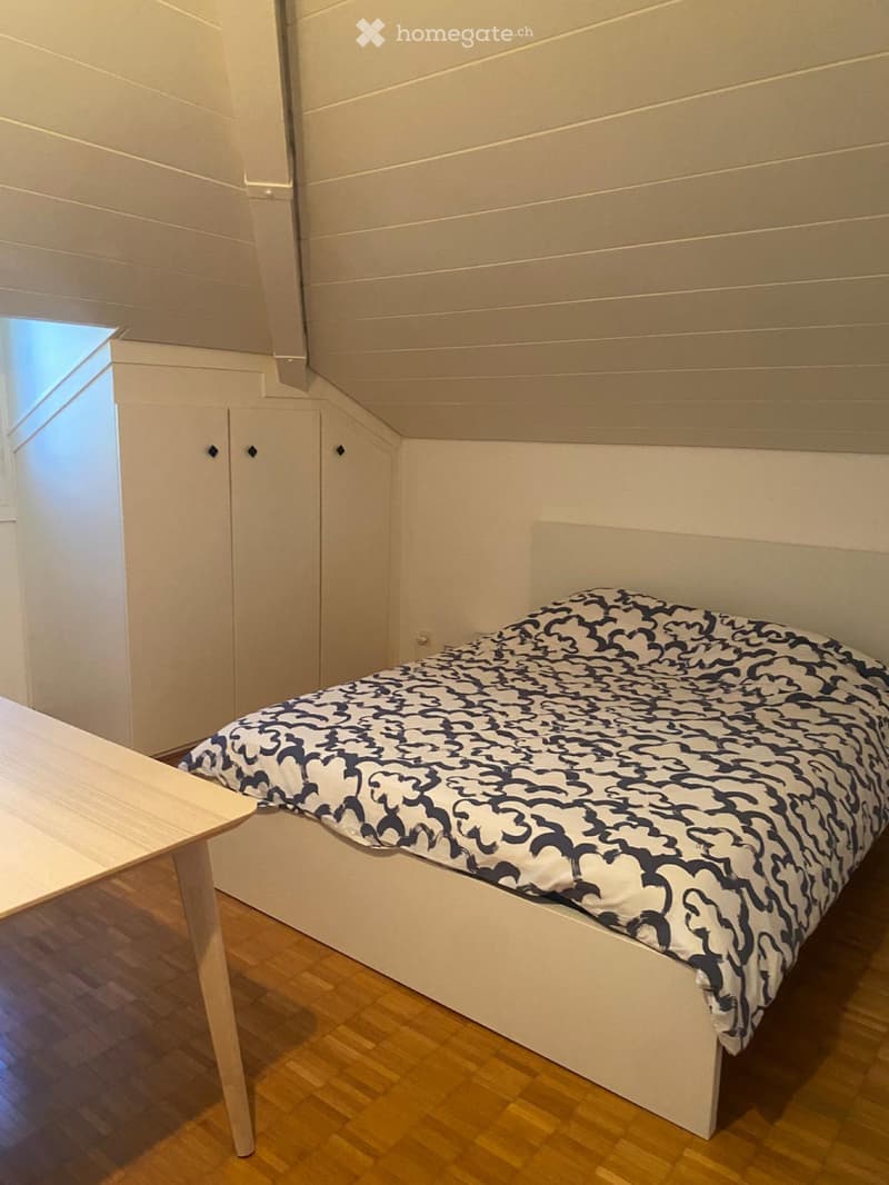 Bellinzona - 3.5 locali mansardato (3)