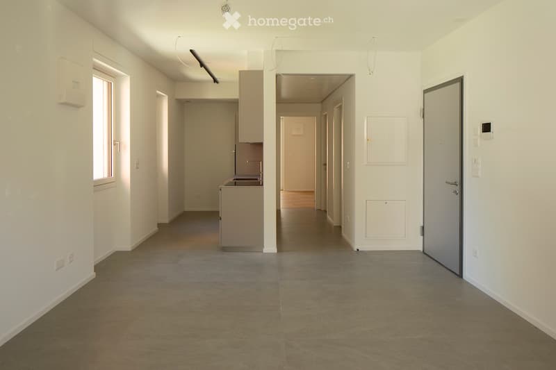 Ampio appartamento 3.5 locali in centro Lugano (1)