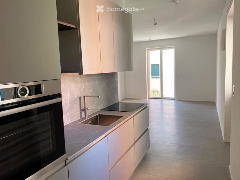 Ampio appartamento 3.5 locali in centro Lugano (3)