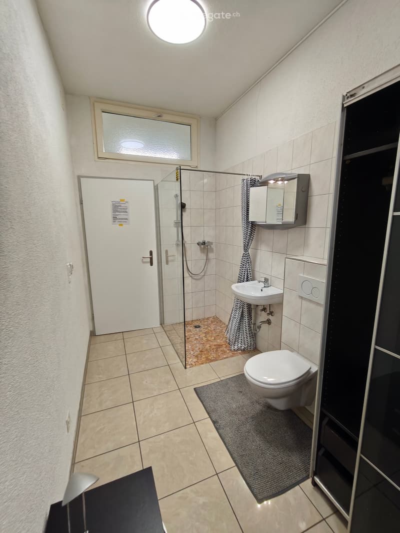Ab SOFORT Frei 1 Zi Wohnung in Mauren TG (3)