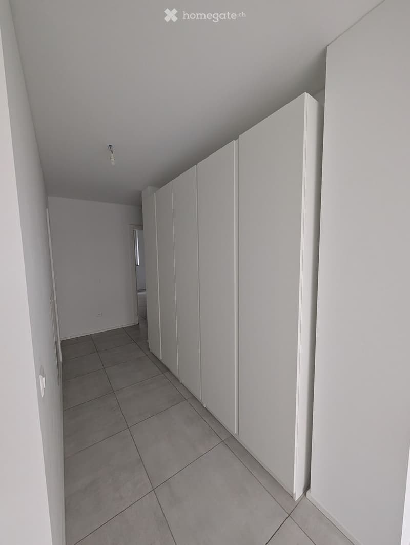 Moderno 4.5 locali a Paradiso (5)