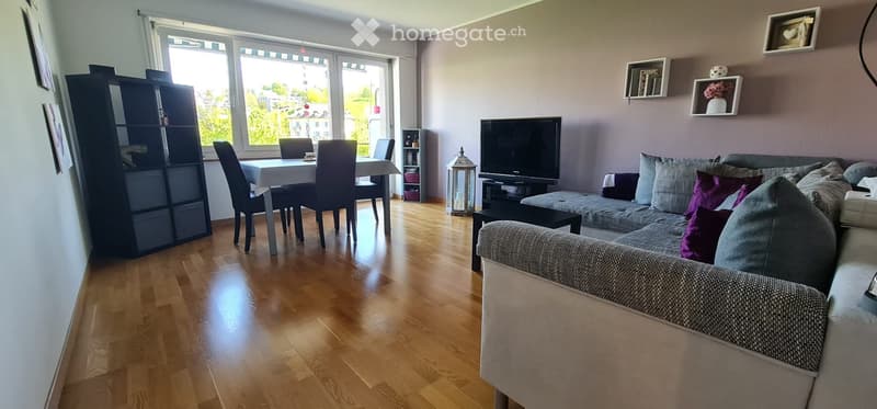 Wohnung zur Untermiete im Herzen von Luzern (3)