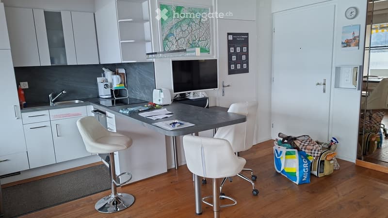 NACHMIETER GESUCHT WOHNEN, WO ANDERE FERIEN MACHEN (5)