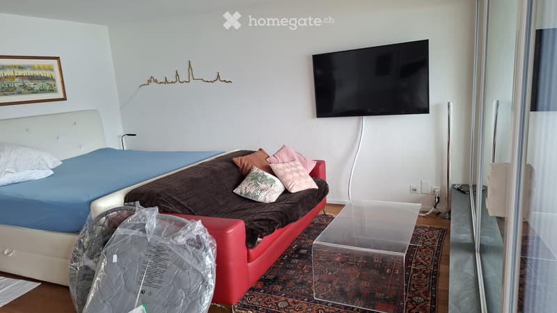 NACHMIETER GESUCHT WOHNEN, WO ANDERE FERIEN MACHEN (3)