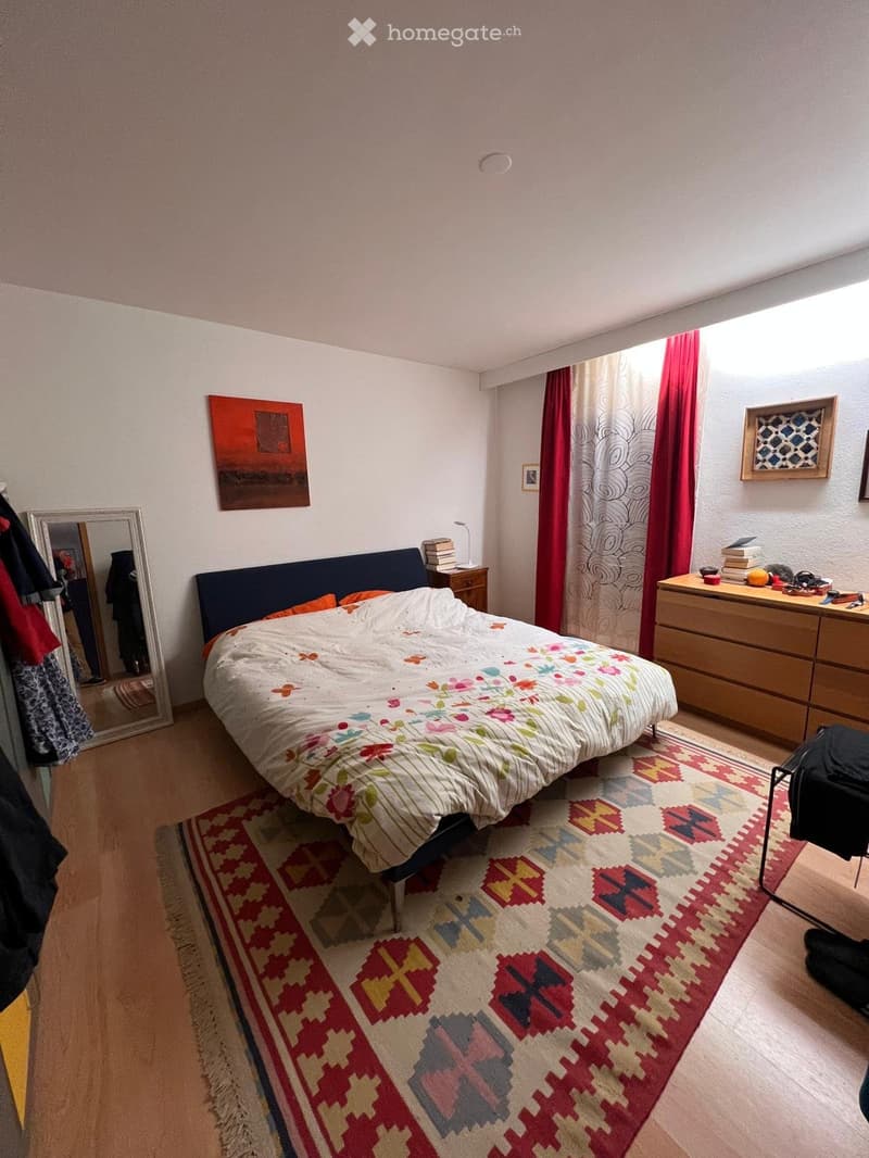 Bellissimo duplex in zona tranquilla (2)