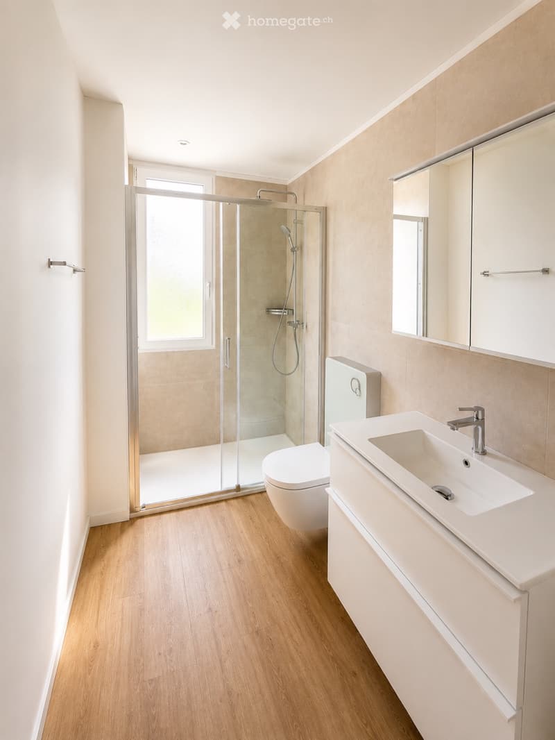 ASCONA - 2.5 locali in zona centrale prima locazione (5)