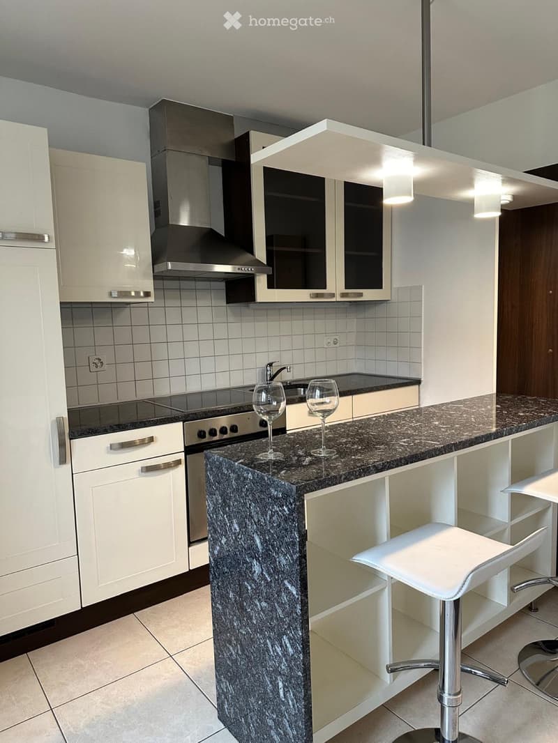 Affitto monolocale a Lugano-Loreto (2)