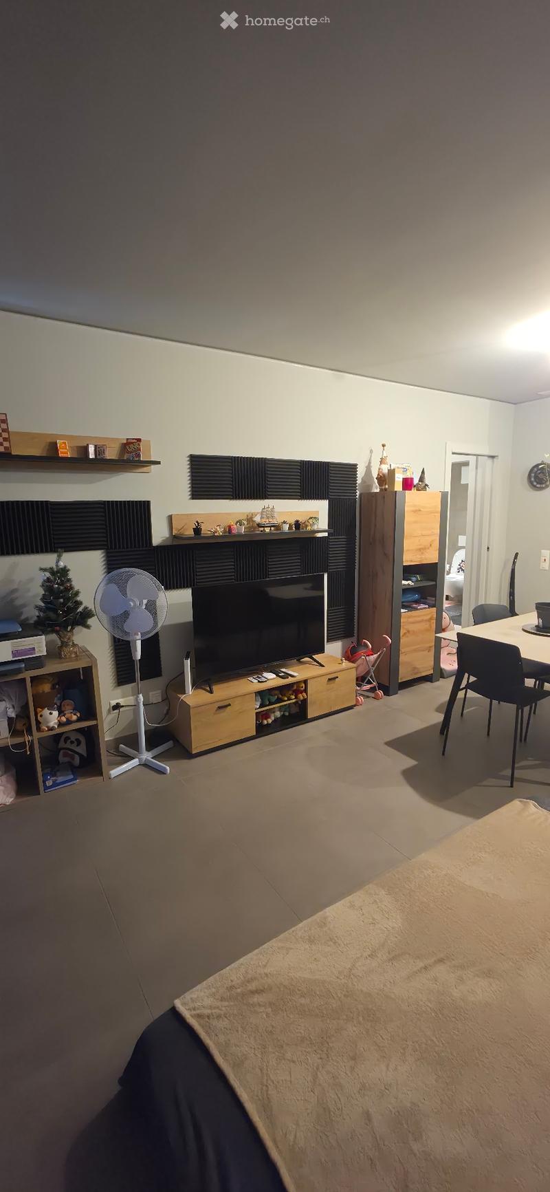Subentrante - 2,5 Locali (Ascona) (1)