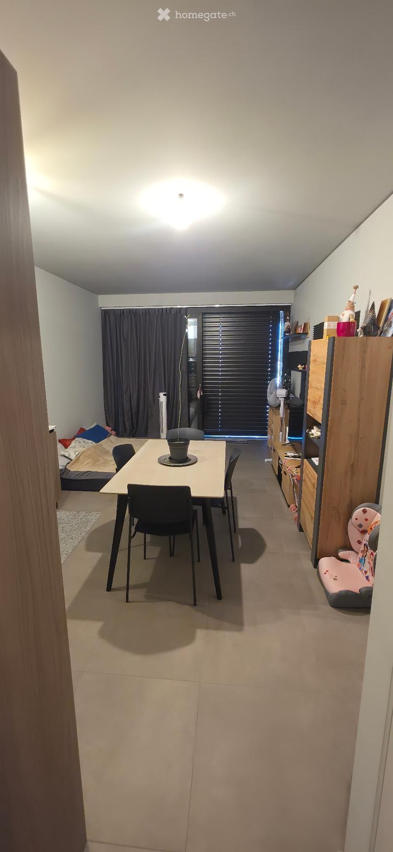 Subentrante - 2,5 Locali (Ascona) (2)