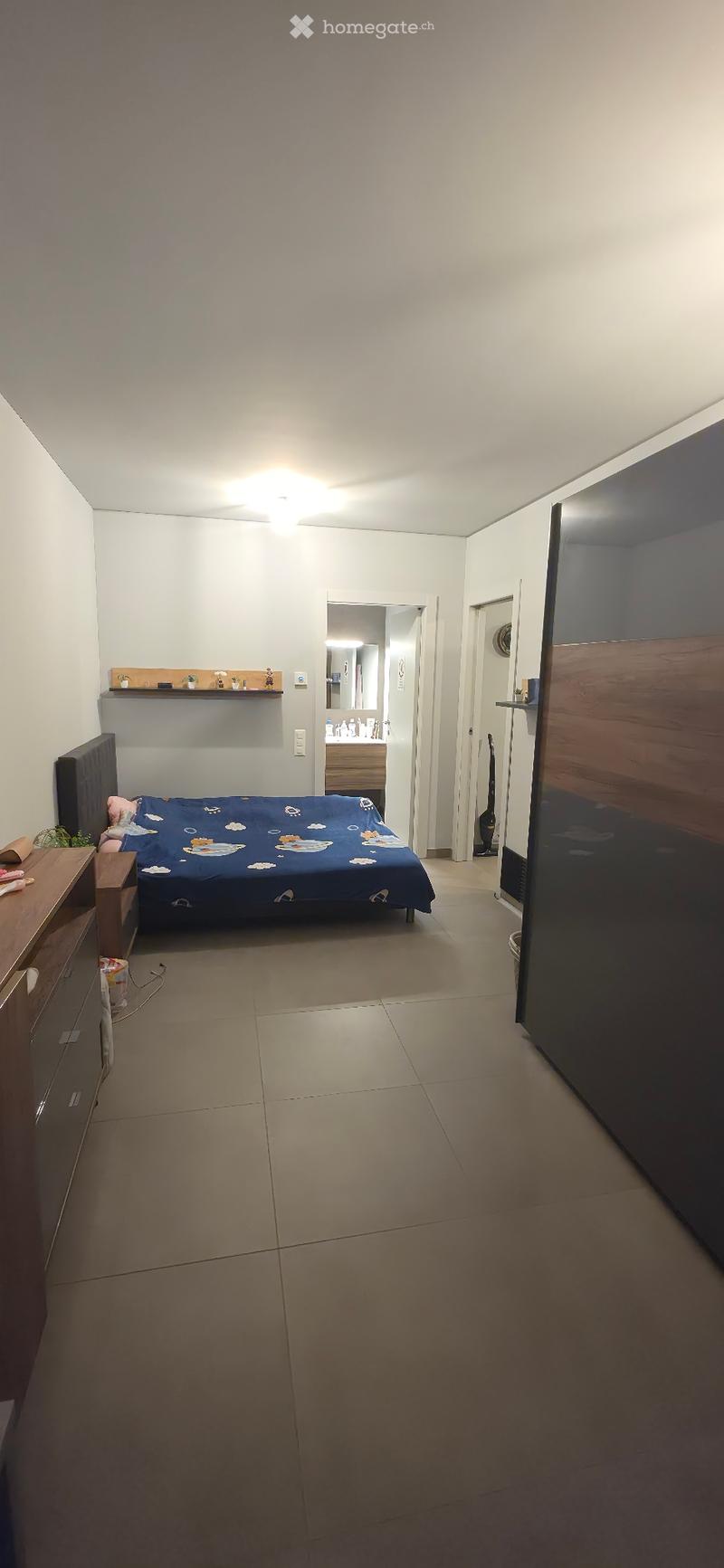 Subentrante - 2,5 Locali (Ascona) (5)