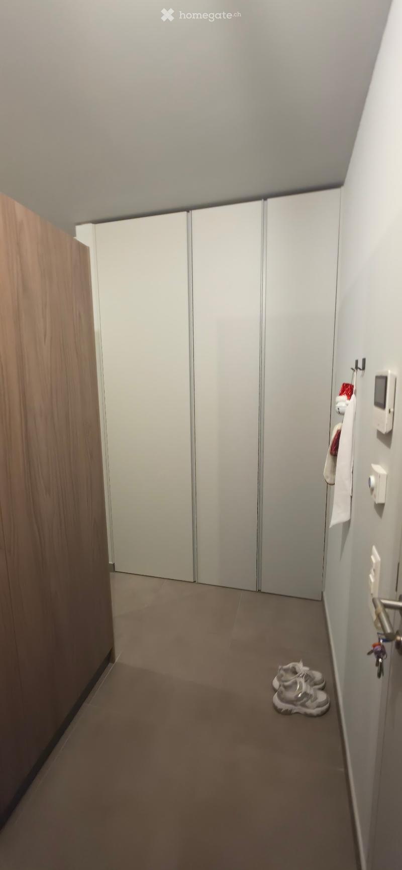 Subentrante - 2,5 Locali (Ascona) (10)