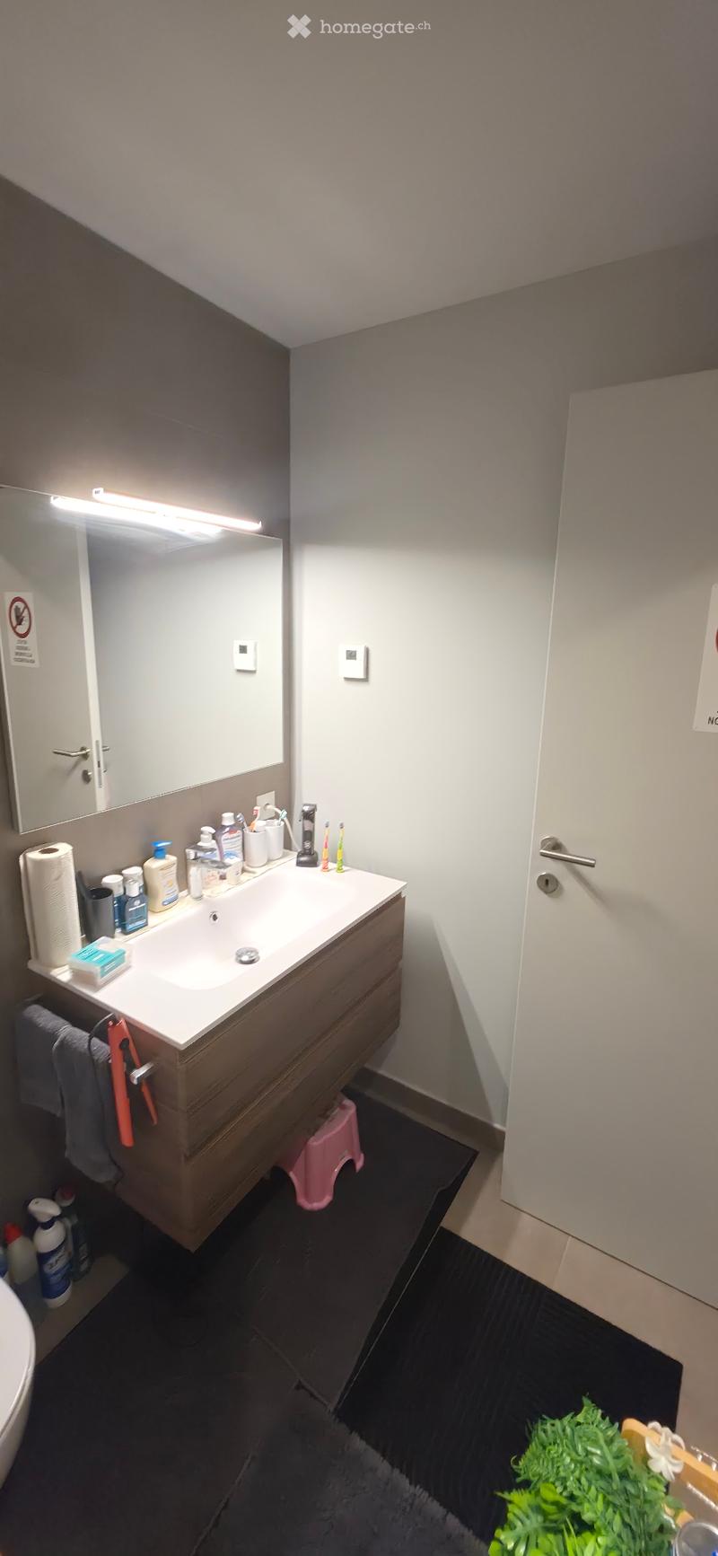 Subentrante - 2,5 Locali (Ascona) (7)