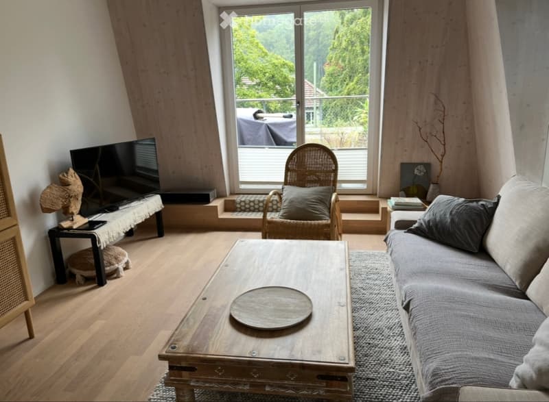 Moderne 2.5-Zimmer-Wohnung  Nachmieter gesucht (2)