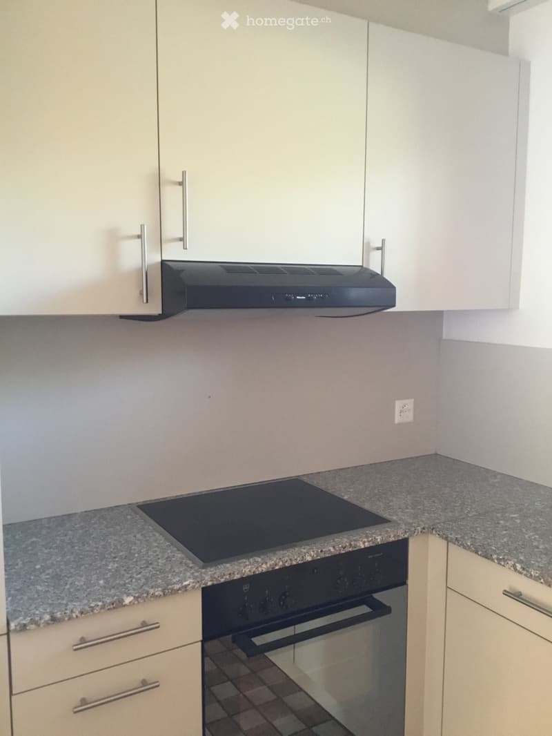Charmante 3.5 Zimmer Maisonette-Wohnung zu vermieten (2)