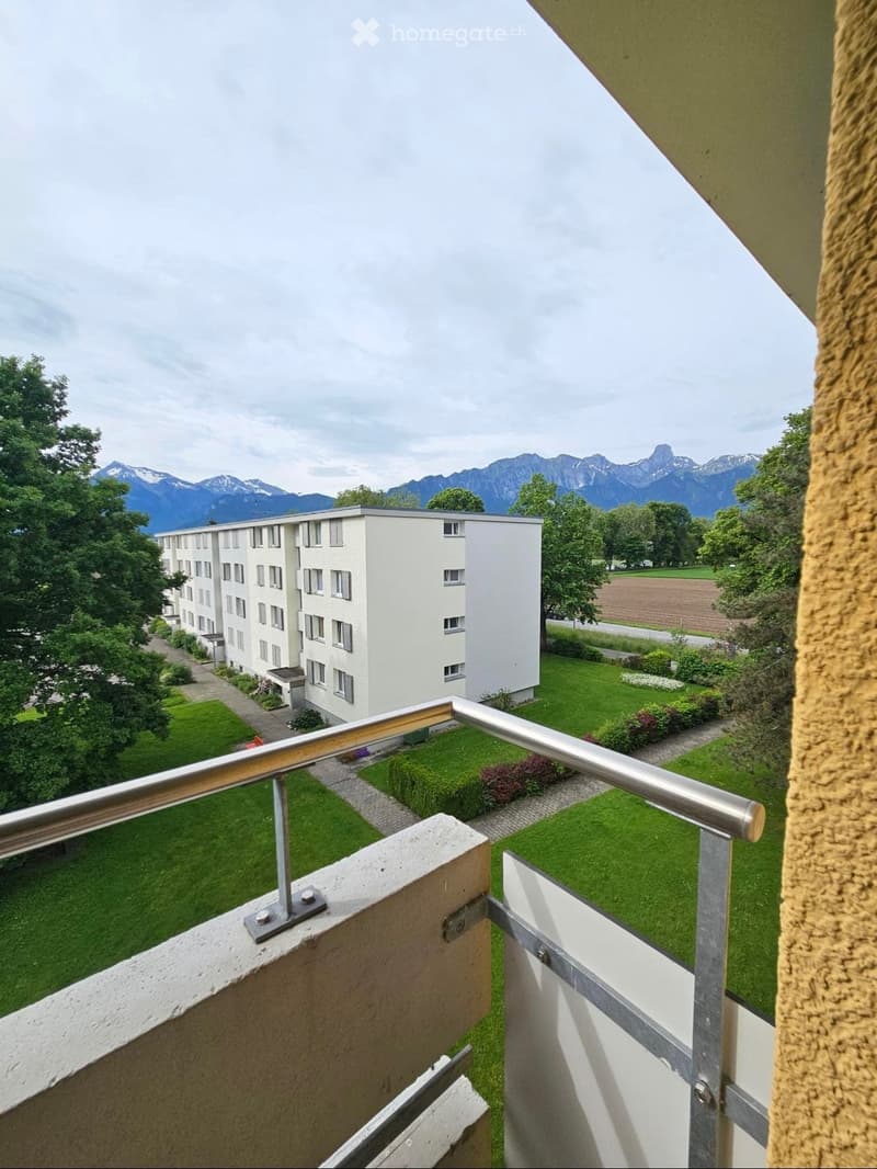 Helle 3.5 Zimmer-Wohnung (5)