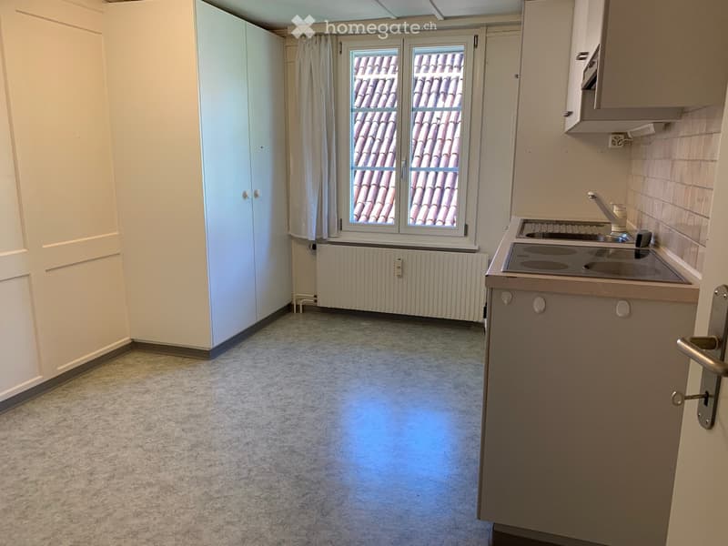 3 1/2 Zimmer Altstadtwohnung (4)