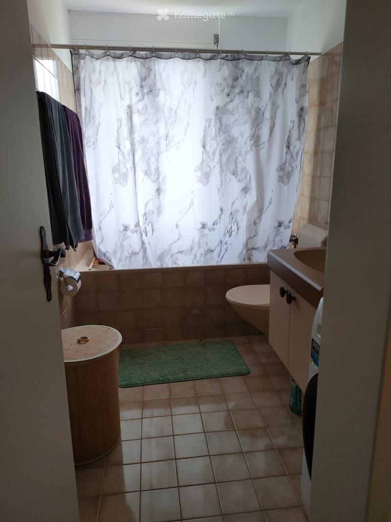 4.5 Zimmer Wohnung (3)