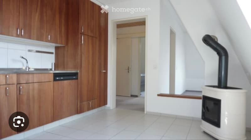 Charmante Dachwohnung im Seefeld (3)