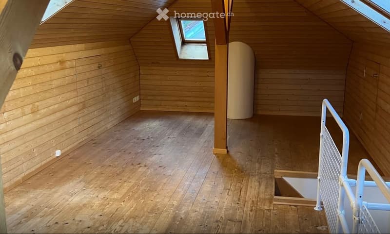 Charmante Dachwohnung im Seefeld (4)