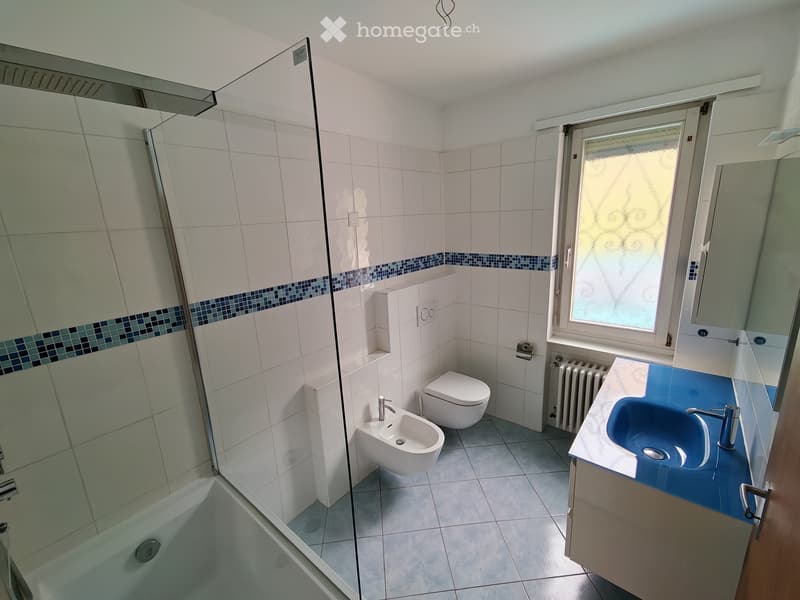 Appartamento bifamiliare pregassona (2)