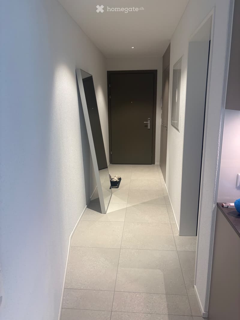1.5Zimmer-NeubauwohnungPer sofortMiete September geschenkt! (4)