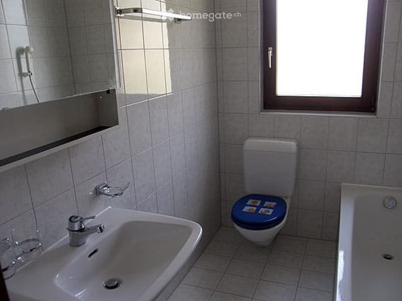Affitto 3 locali a Pregassona alta con terrazza panoramica (4)