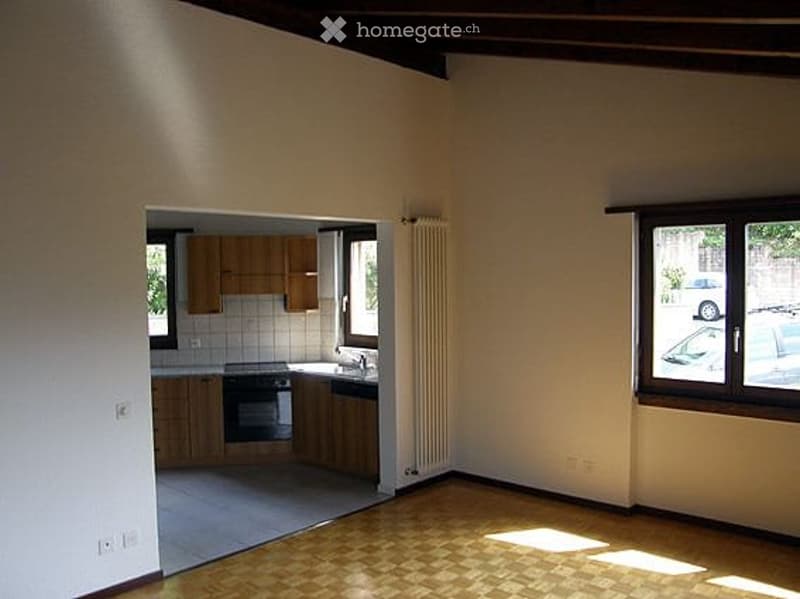 Affitto 3 locali a Pregassona alta con terrazza panoramica (2)