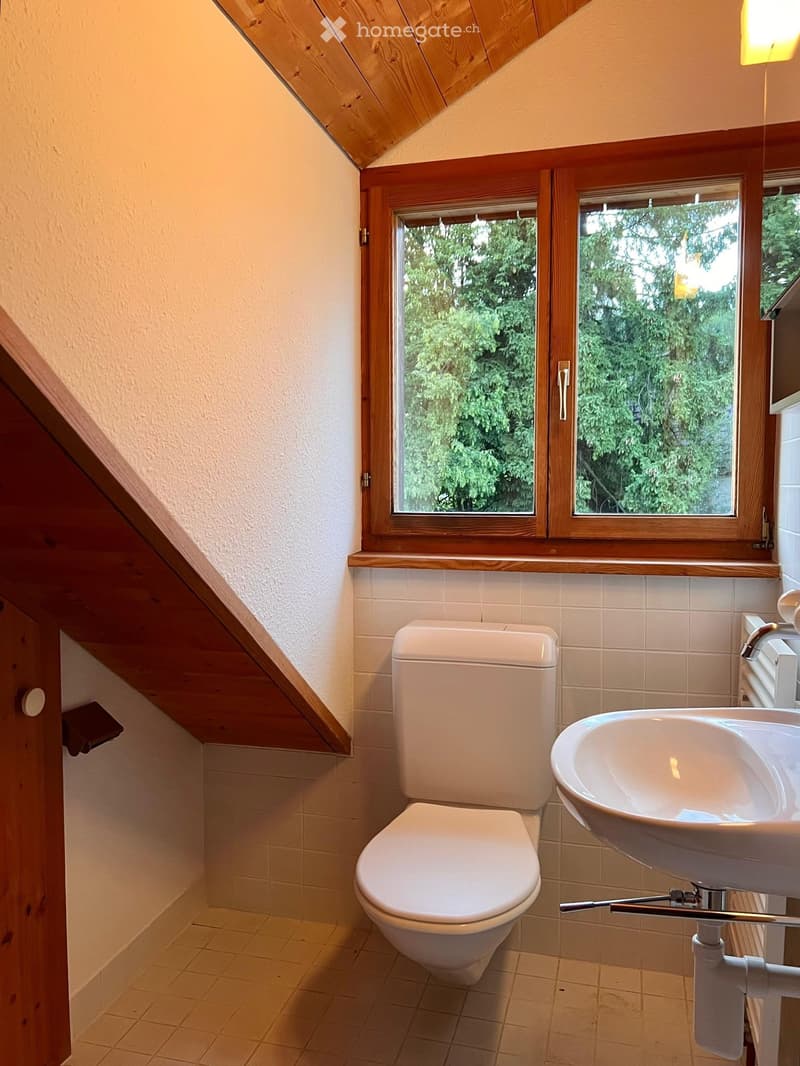 Einfamilienhaus in Oberwinterthur (5)