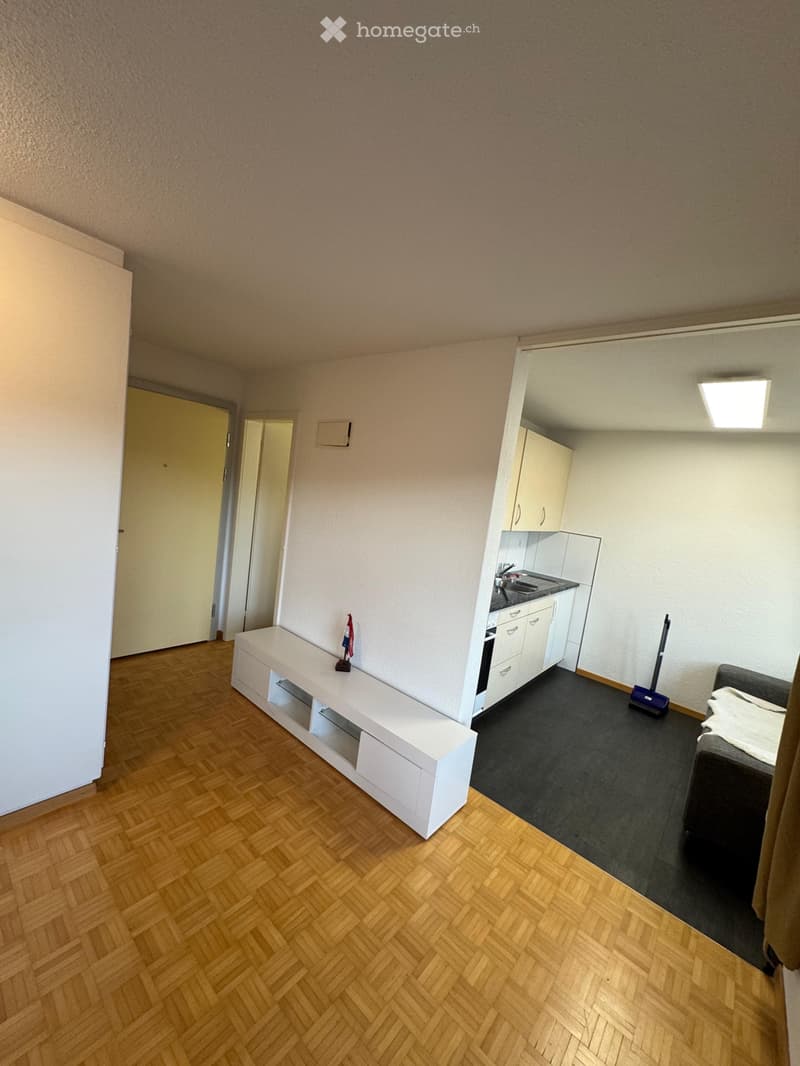 1.5 Zimmer Wohnung mit Balkon (5)