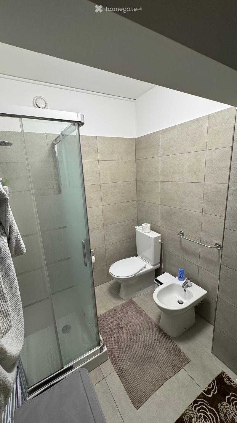 Bel 2.5 Rinnovato a Chiasso (720CHF/mese) (3)
