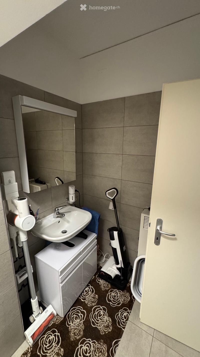 Bel 2.5 Rinnovato a Chiasso (720CHF/mese) (4)
