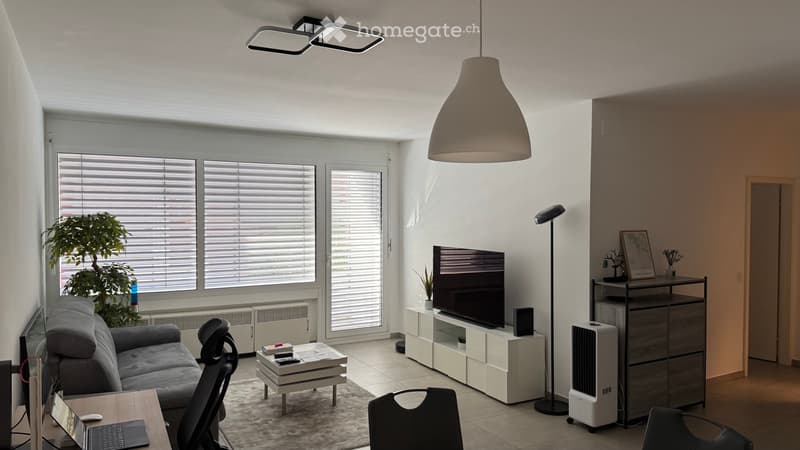 Bel 2.5 Rinnovato a Chiasso (720CHF/mese) (2)