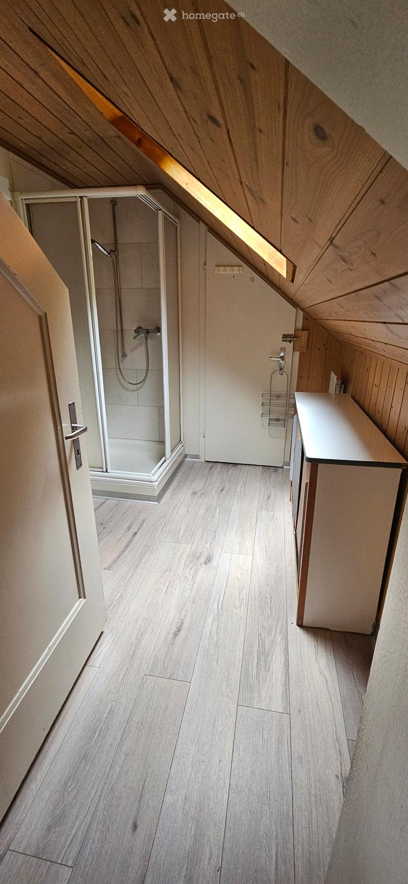 3 Zimmer-Dach-Wohnung zu vermieten (2)