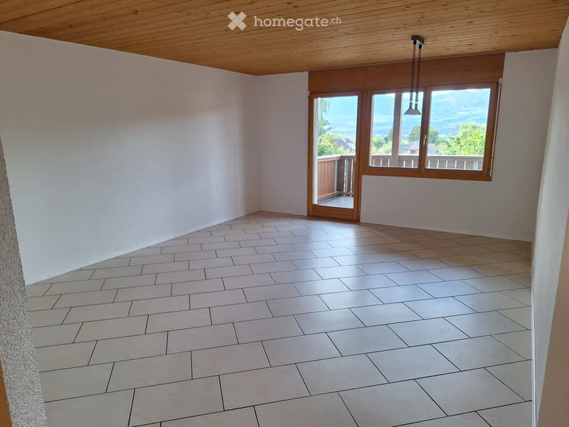 Grosszügige 5.5 Zimmer Wohnung (3)