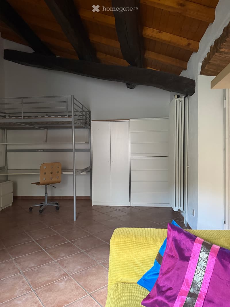 Grazioso monolocale mansardato (3)