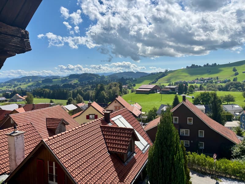 Heimelige 3-Zi Wohnung mit Weitsicht (4)