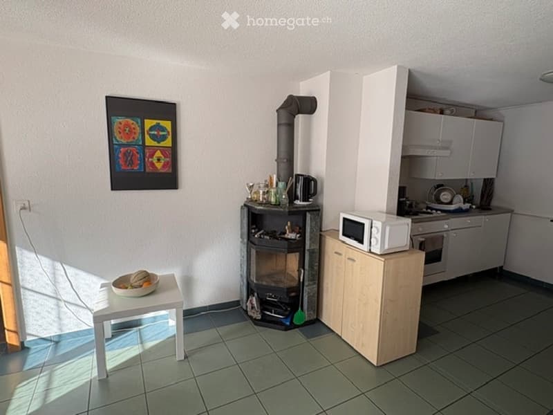 Schöne, helle preisgünstige 2-Zimmerwohnung (3)