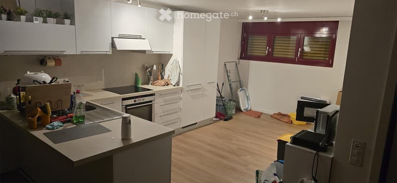 Cercasi Subentrante appartamento a Mezzovico (5)